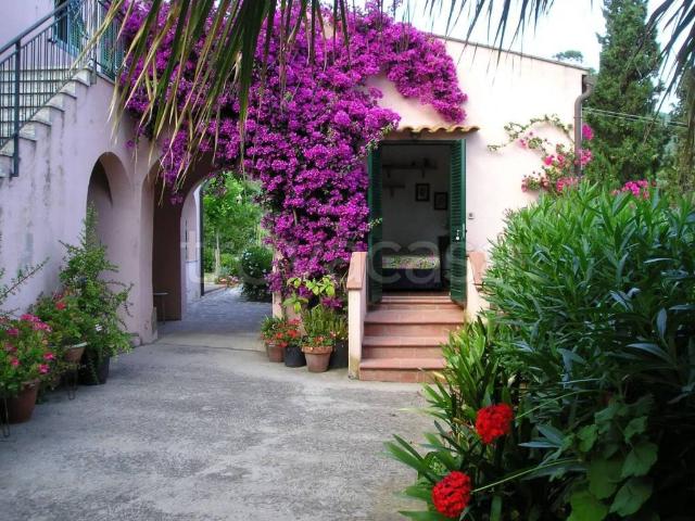 Villa Indipendente in affitto a Marciana, Toscana