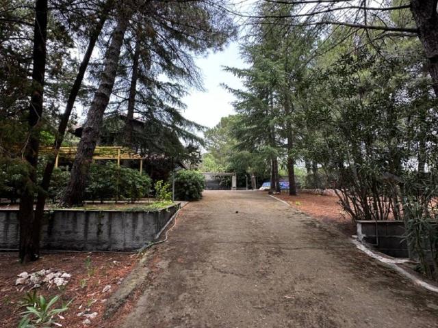 Villa Indipendente in affitto a Massannunziata, Mascalucia