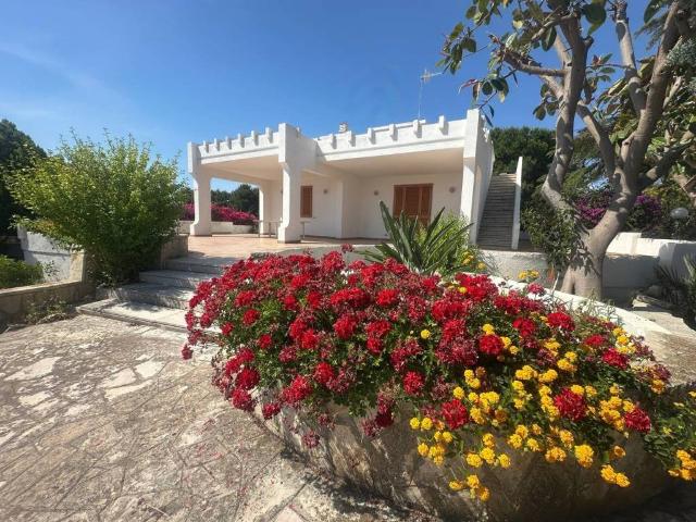 Villa Indipendente in affitto a Puglia, Bari