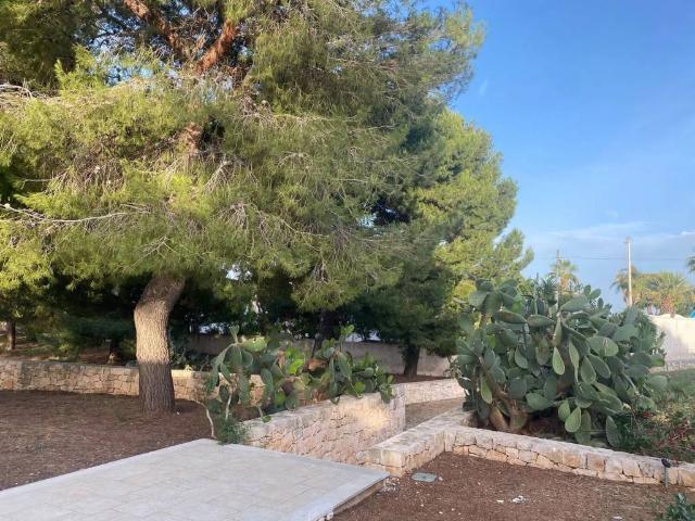 Villa Indipendente in affitto a Puglia, Bari