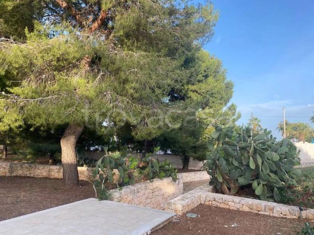 Villa Indipendente in affitto a Campello Sul Clitunno, Umbria