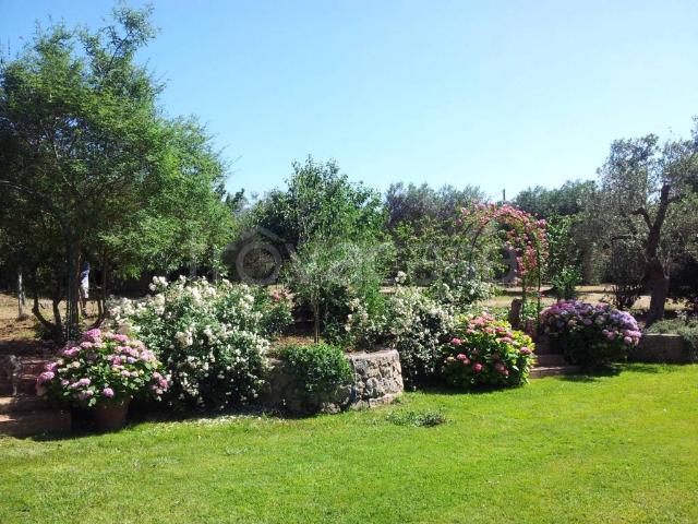 Villa Indipendente in affitto a Campello Sul Clitunno, Umbria