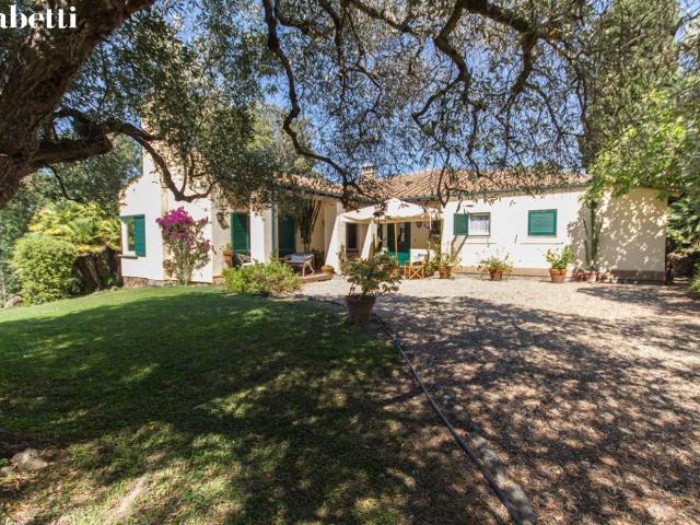 Villa Indipendente in affitto a Monte Argentario, Pozzarello
