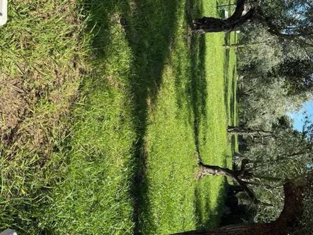 Villa Indipendente in affitto a Cervaiolo, Montignoso