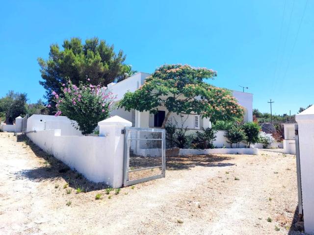 Villa Indipendente in affitto a Torre Vado, Puglia
