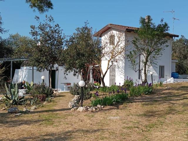 Villa Indipendente in affitto a Puglia, Bari