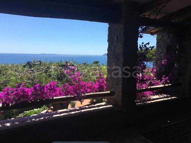 Villa Indipendente in affitto a Orbetello, Toscana