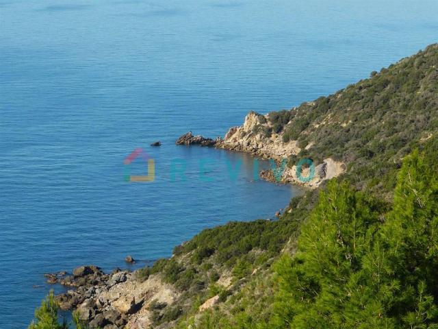 Villa Indipendente in affitto a Orbetello, Toscana