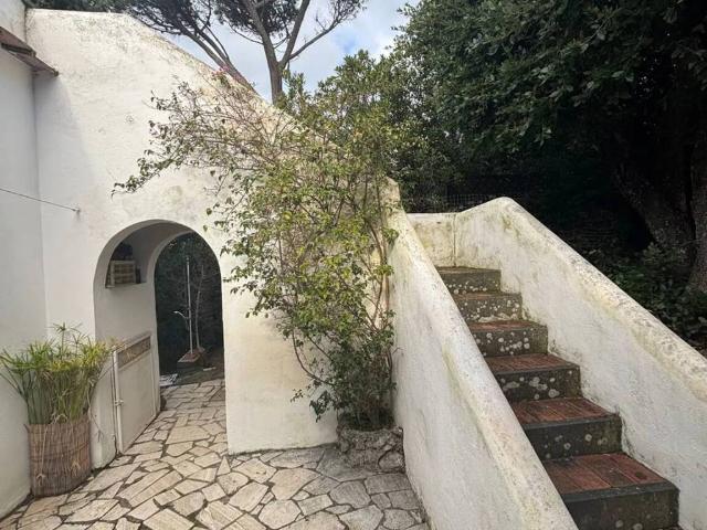 Villa Indipendente in affitto a Orbetello, Toscana
