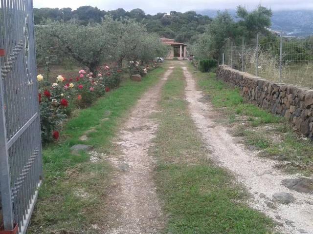 Villa Indipendente in affitto a Orosei, Sardigna/Sardegna