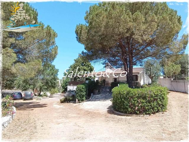 Villa Indipendente in affitto a Puglia, Brindisi
