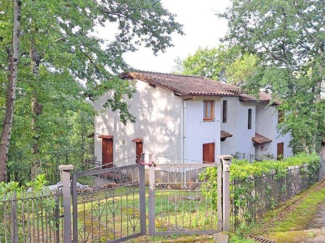 Villa Indipendente in affitto a Unione di Comuni Valdarno e Valdisieve, Pelago