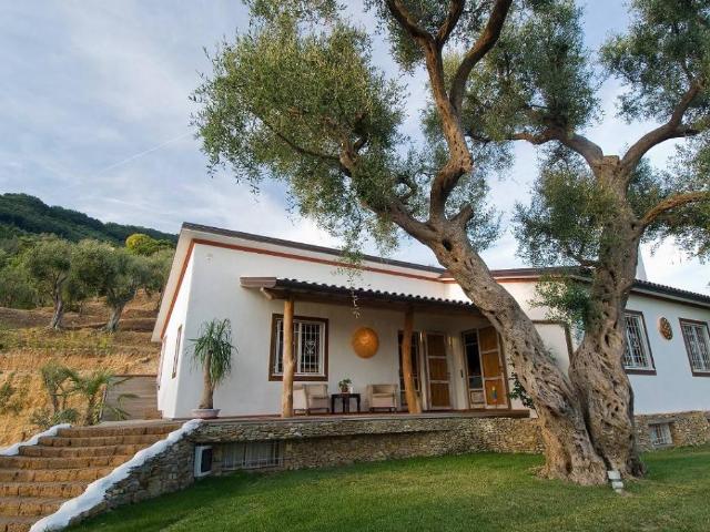 Villa Indipendente in affitto a Tonfano, Toscana