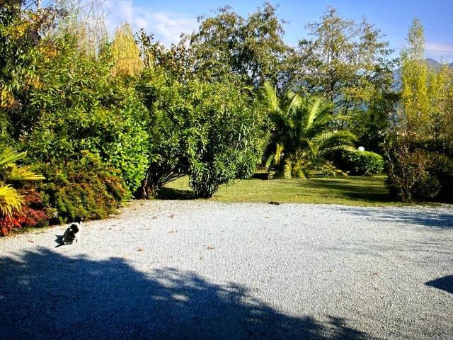 Villa Indipendente in affitto a Tonfano, Toscana