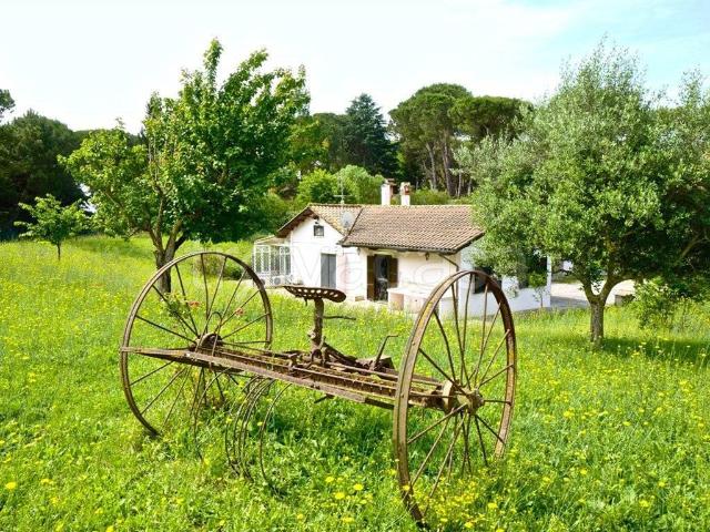 Villa Indipendente in affitto a Municipio Roma XV, Roma Capitale