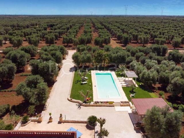 Villa Indipendente in affitto a Campello Sul Clitunno, Umbria