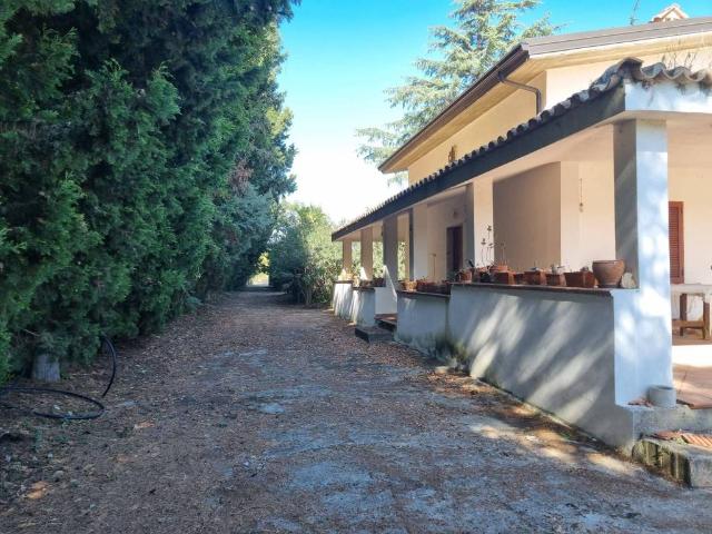 Villa Indipendente in affitto a Calabria, Catanzaro