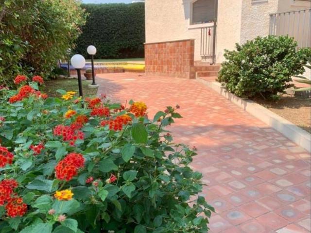 Villa Indipendente in affitto a Siracusa, Sicilia