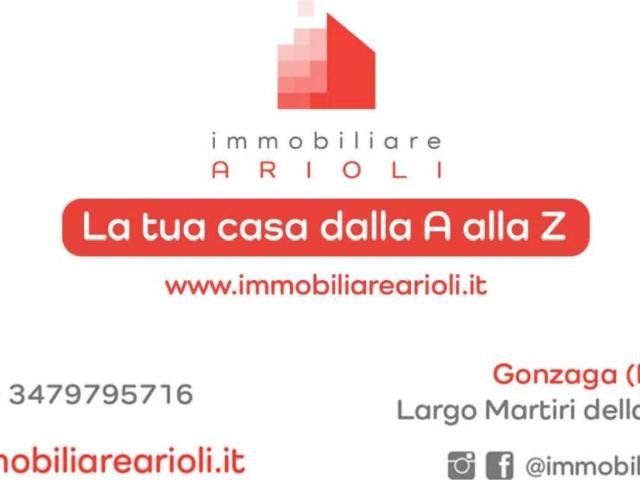 Villa Indipendente in affitto a Suzzara, Lombardia