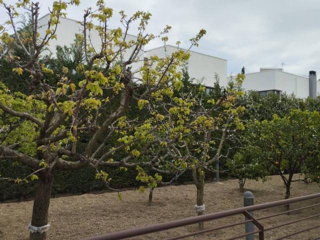 Villa Indipendente in affitto a Puglia, Barletta-andria-trani