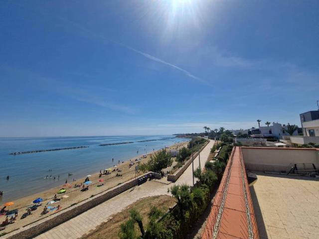 Villa Indipendente in affitto a Puglia, Barletta-andria-trani