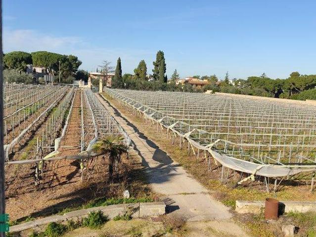 Villa Indipendente in affitto a Puglia, Barletta-andria-trani