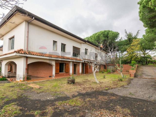 Villa Indipendente in affitto a Sambuco, Viagrande