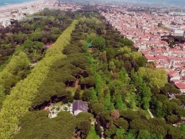 Villa Indipendente in affitto a Viareggio, Toscana