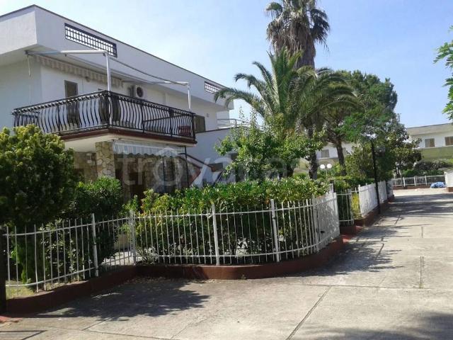 Villa Indipendente in affitto a Fabbreria, Campello Sul Clitunno