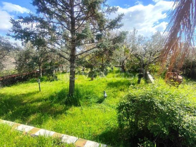Villa Indipendente in affitto a Zafferana Etnea, Sicilia