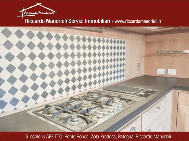 Villa Indipendente in affitto a Unione dei comuni Valli del Reno, Lavino e Samoggia, Zola Predosa