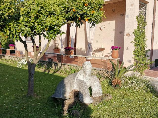 Villa Indipendente in affitto a Roma Imperiale, Forte Dei Marmi