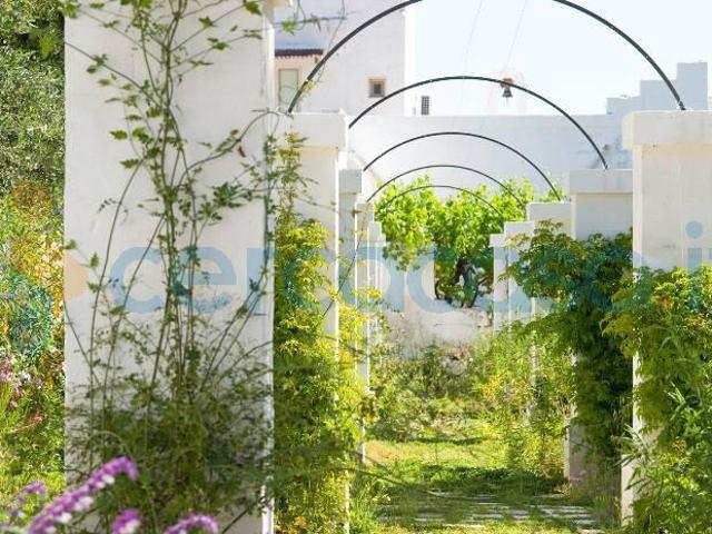 Villa Indipendente in affitto a Municipio 1, Puglia