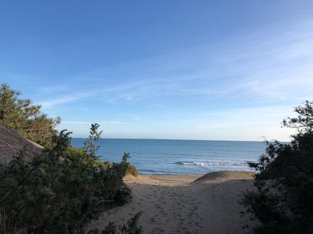 Villa Indipendente in affitto a Castiglione Della Pescaia, Toscana