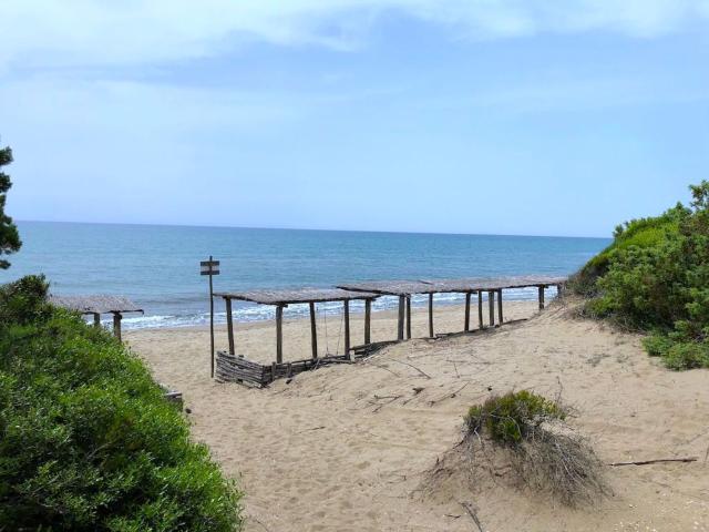 Villa Indipendente in affitto a Castiglione Della Pescaia, Toscana