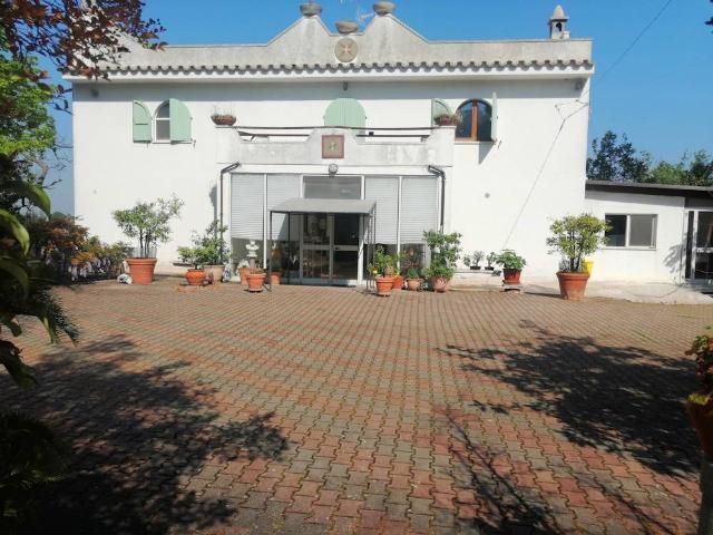 Villa Indipendente in vendita a Marche, Ancona