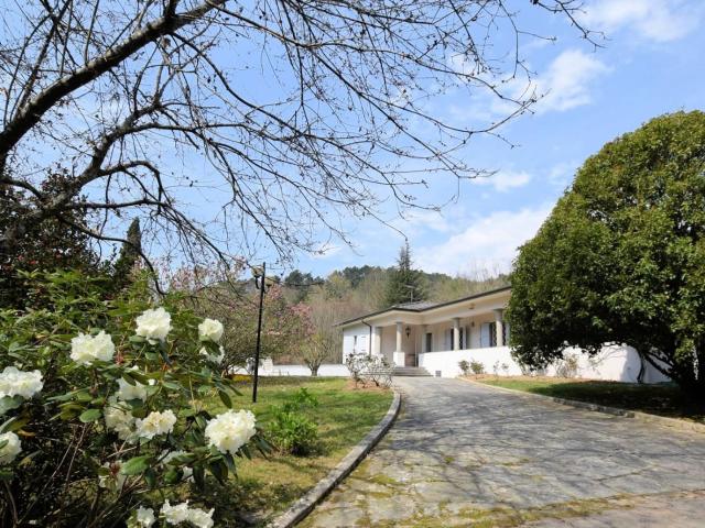 Casa in vendita a Campo, Camaiore