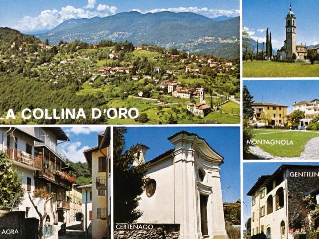 Immobilie kaufen in Collina d'Oro, Tessin