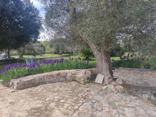 Appartamento in affitto a Borgo Rurale Pascarosa, Puglia