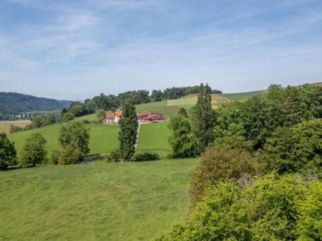 Haus kaufen in Chesalles-Moudon, Waadt