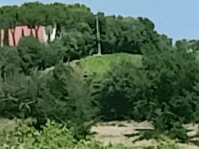 Villa Indipendente in vendita a Marche, Ancona