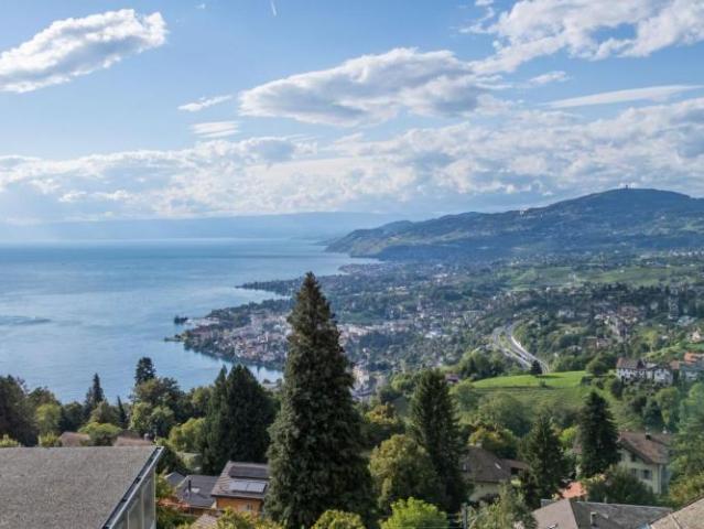 Haus kaufen in Chailly-Montreux, Waadt