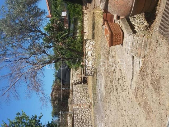Villa Indipendente in affitto a Calvi Dell'umbria, Umbria