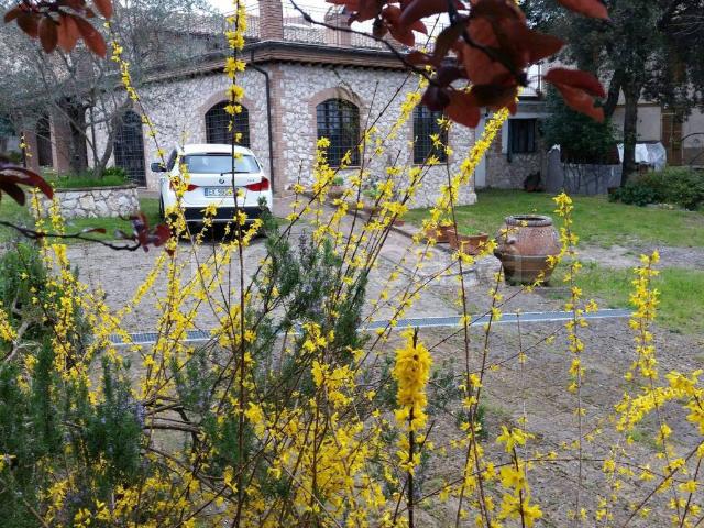 Villa Indipendente in affitto a Calvi Dell'umbria, Umbria