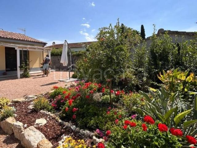 Villa Indipendente in affitto a centro A, Capalbio