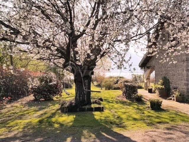 Villa Indipendente in affitto a Caprarola, Lazio
