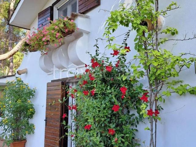 Villa Indipendente in affitto a Unione dell'Appennino Bolognese, Grizzana Morandi