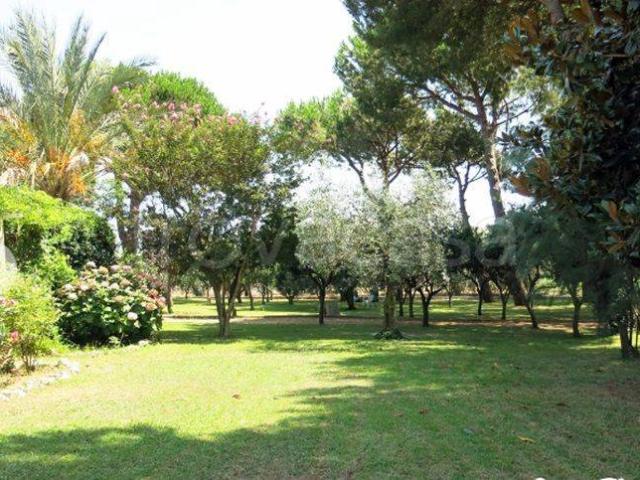Villa Indipendente in affitto a Selvavetere, Salto Di Fondi