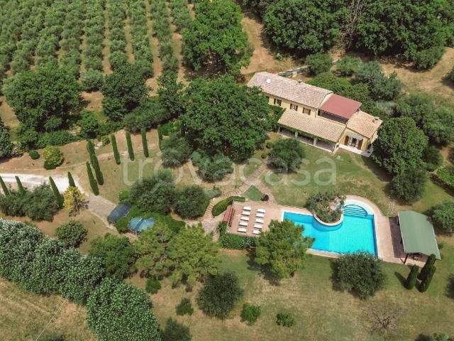 Villa Indipendente in affitto a Vigna del Mare, Marche