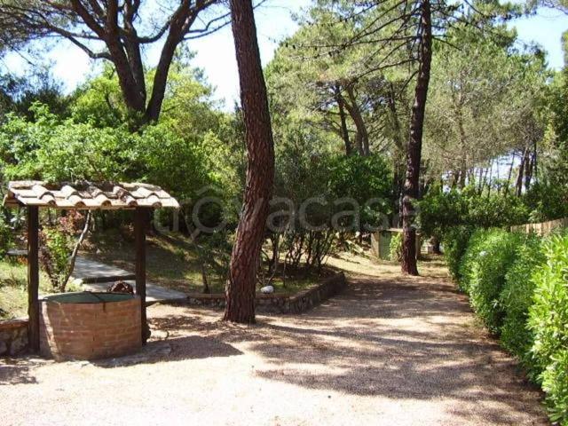 Villa Indipendente in affitto a Orbetello, Toscana
